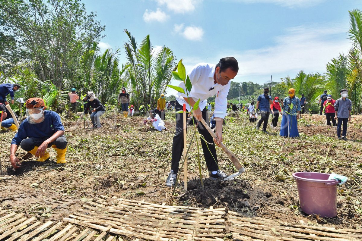 SD Negeri Cilacap 09: Menanam Benih Kesuksesan di Jantung Kota